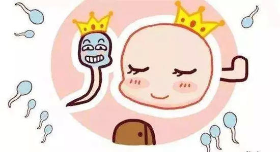 关于试管婴儿的误传你都听过哪些