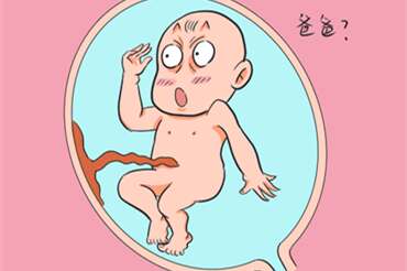 备孕路上状况多