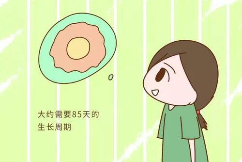 怎么让胚胎移植后更容易着床