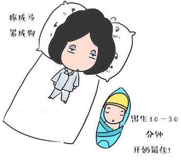 为什么专家提倡单囊胚移植
