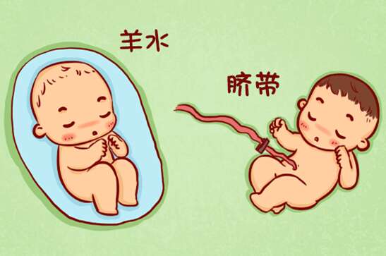 卵子可用率低的原因有哪些