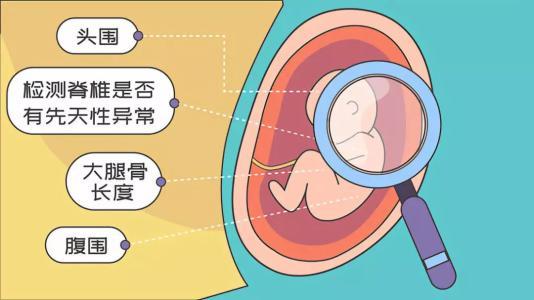 35岁以上代妈生育二胎,小心四个高风险
