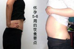 广州代妈必看：怀孕5-6周的饮食要点