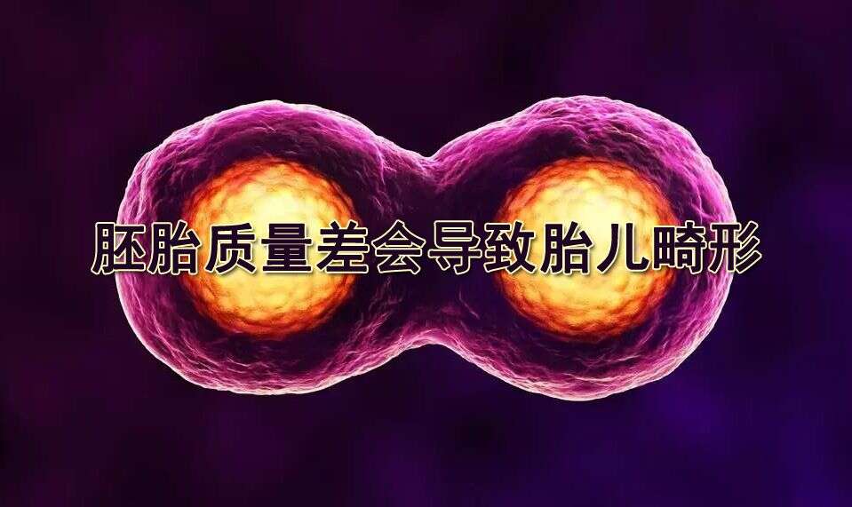 试管婴儿中胚胎质量差会导致胎儿畸形吗?