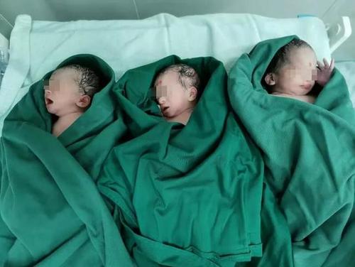 积极养护卵子，孕育健康宝宝