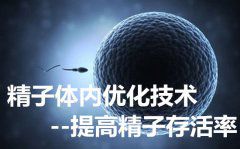 精子体内优化技术--提高精子存活率