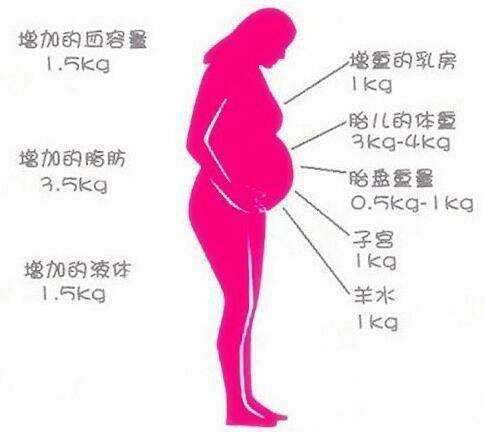 排卵期的时候,你有这些感觉吗?