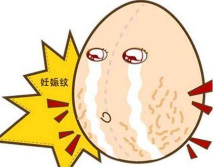 哪些才是决定胚胎着床的关键