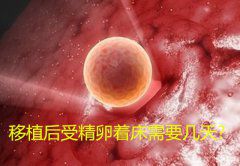 移植后受精卵着床需要几天？