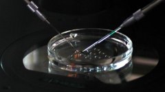 胚胎宝宝在母体的体外会用到哪些培养液？