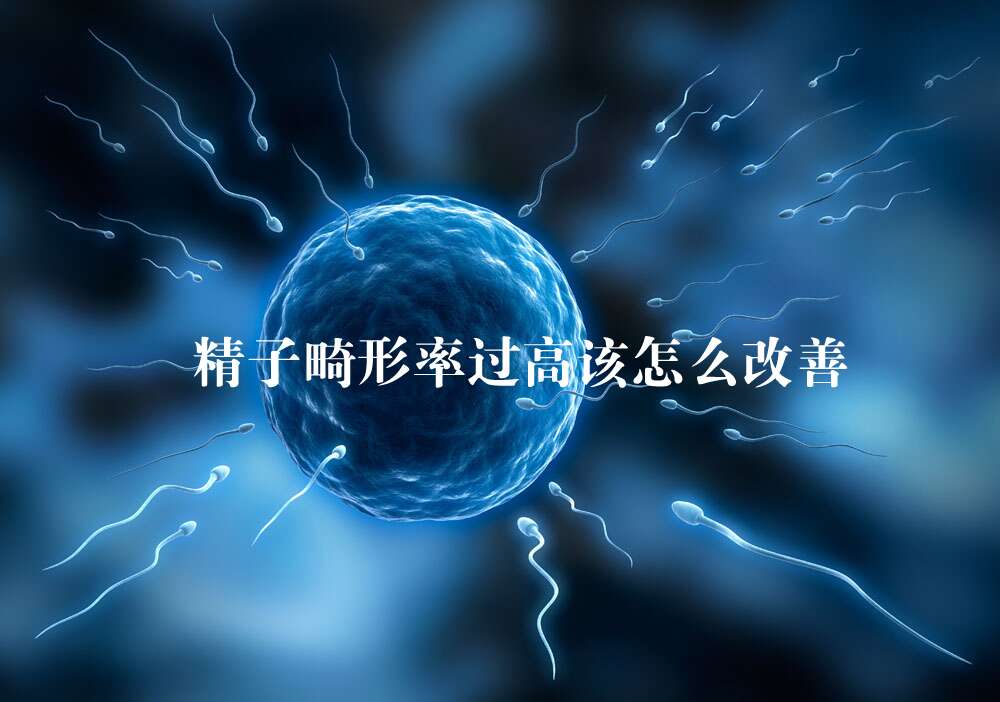 精子畸形率过高该怎么改善?