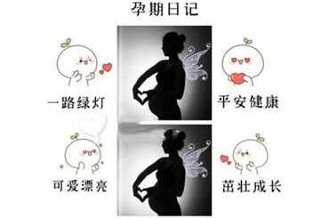 影响试管成功的精子质量指标