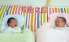 广州助孕网解读“双胎之囧”