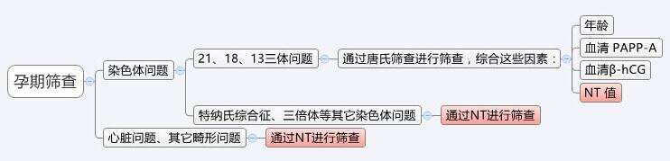 nt检查是什么