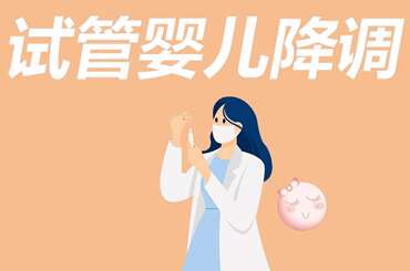 试管降调是什么意思