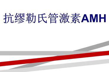 AMH值