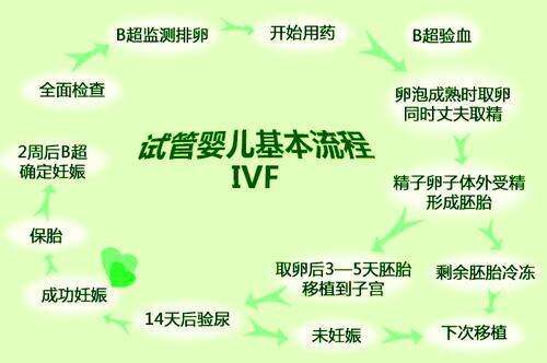 第一代试管婴儿（IVF）