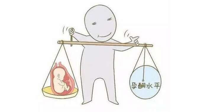 黄体酮/黄体素/孕酮（Progesterone）