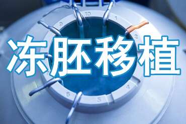 冻胚移植