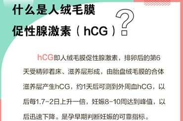 绒毛膜促性腺激素（HCG）