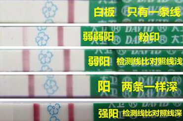 排卵试纸强阳