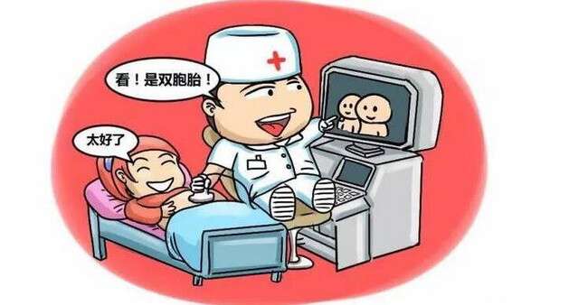 双胞胎