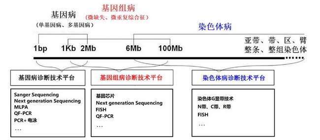 遗传筛查及诊断技术临床应用（PGS/PGD）