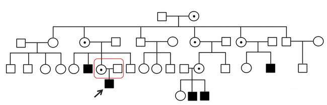 遗传筛查及诊断技术临床应用（PGS/PGD）