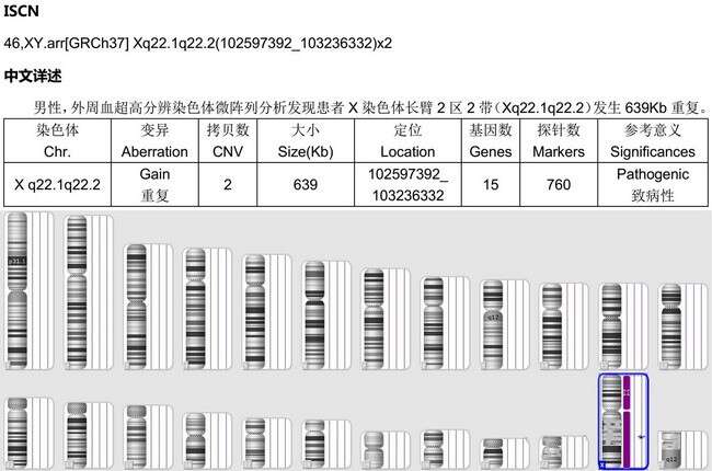 遗传筛查及诊断技术临床应用（PGS/PGD）