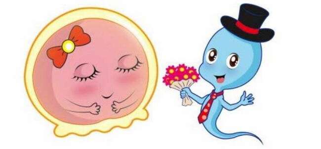 短方案是什么