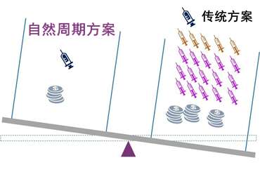 自然周期是什么