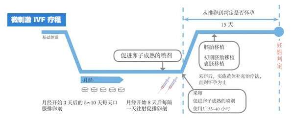 自然周期是什么