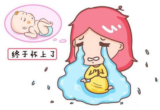 自然周期是什么