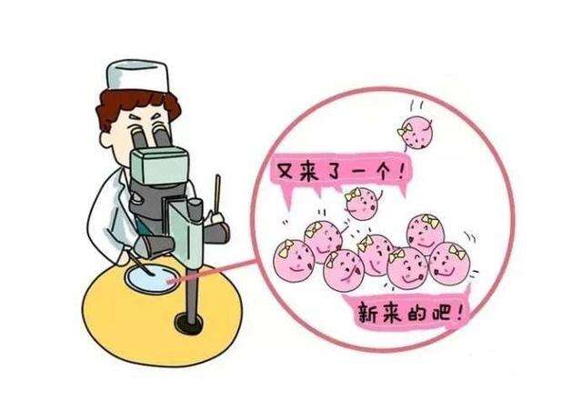 自然周期是什么