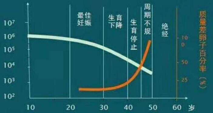 超长方案是什么