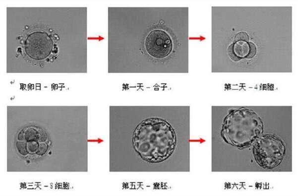 超长方案是什么