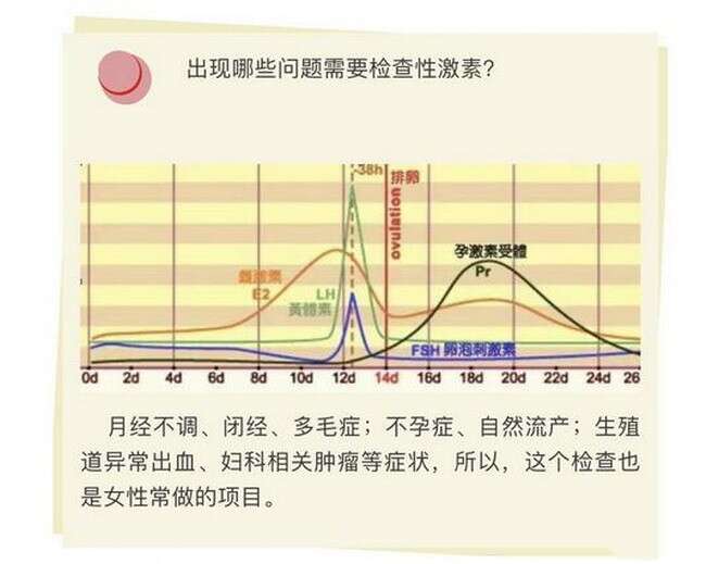 性激素六项是什么