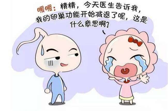 性激素六项是什么