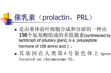 泌乳素/催乳素（PRL）简介