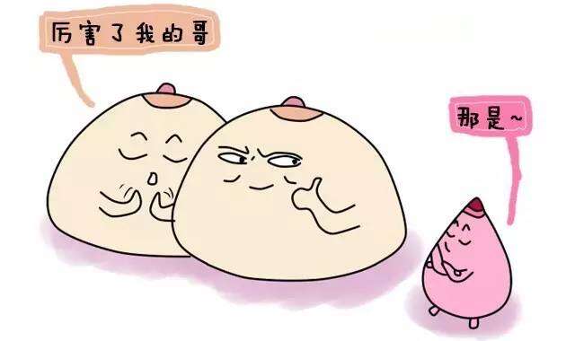 泌乳素/催乳素（PRL）简介