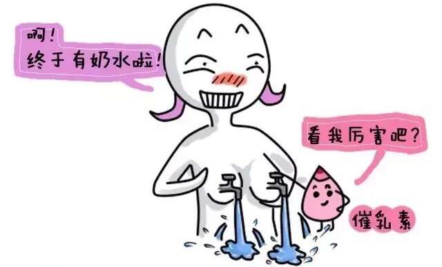 泌乳素/催乳素（PRL）简介