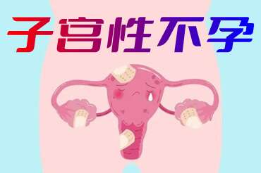 子宫性不孕