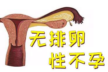 无排卵性不孕