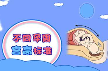 宫高