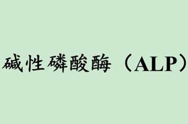 碱性磷酸酶（ALP）