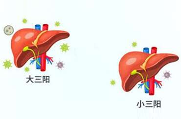 大三阳