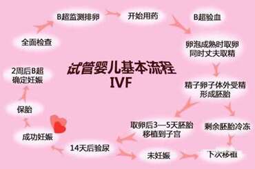 卵子质量差广州助孕备孕期间如何调理
