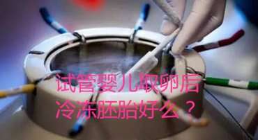 试管婴儿取卵后冷冻胚胎好么？