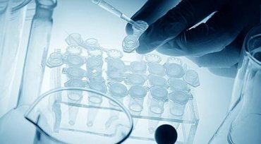 同性恋如何通过试管婴儿实现拥有宝宝愿望的？男男/拉拉伴侣做试管婴儿的步骤流程