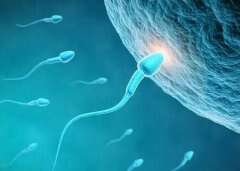 男性精子质量会影响广州助孕的流程吗？